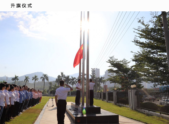 九五至尊VI-老品牌值得信任!